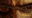 Image of Mesofaune